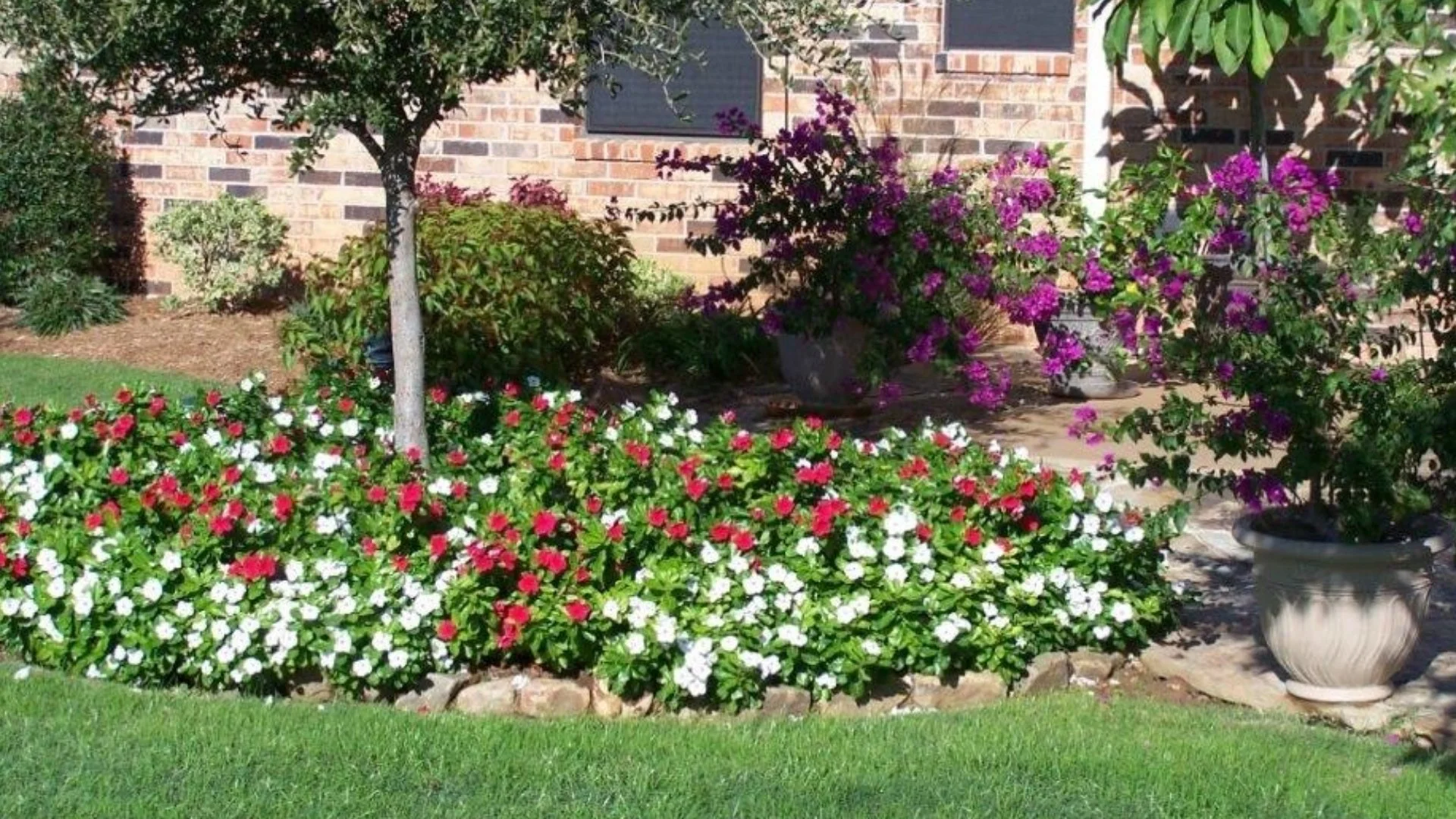 What Annual Flowers Are Best for the Fall in China Spring, TX?