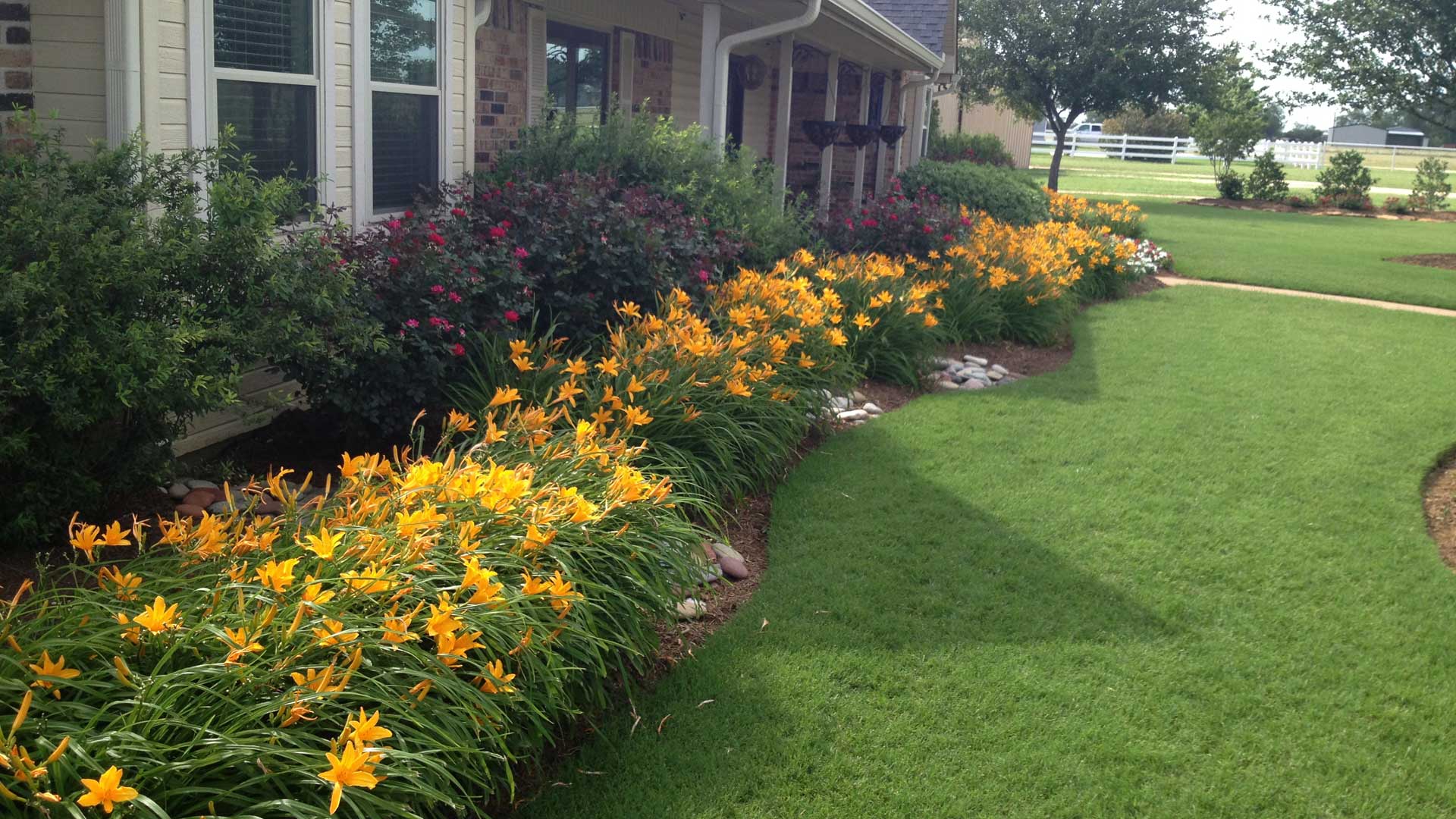 Landscape bed with blooming plants in Hewitt, TX.