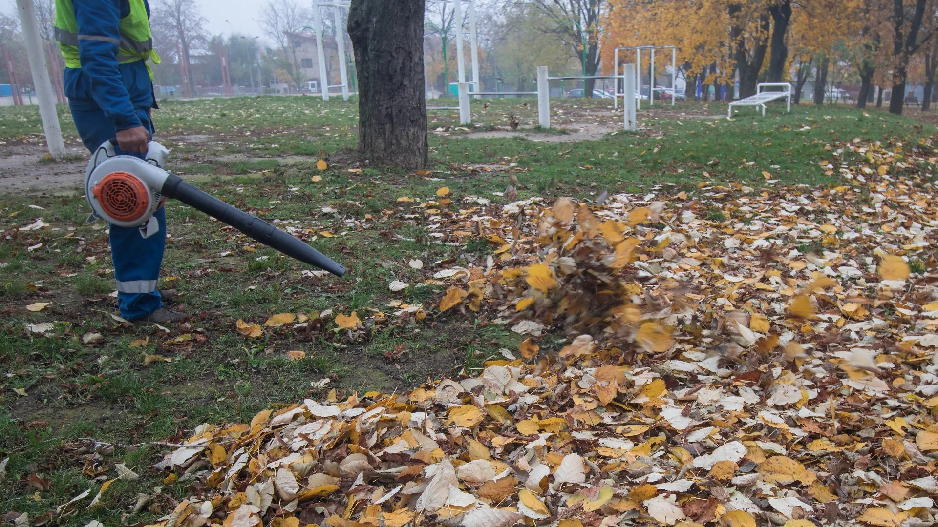 What Is the Best Way to Clean up Leaves?