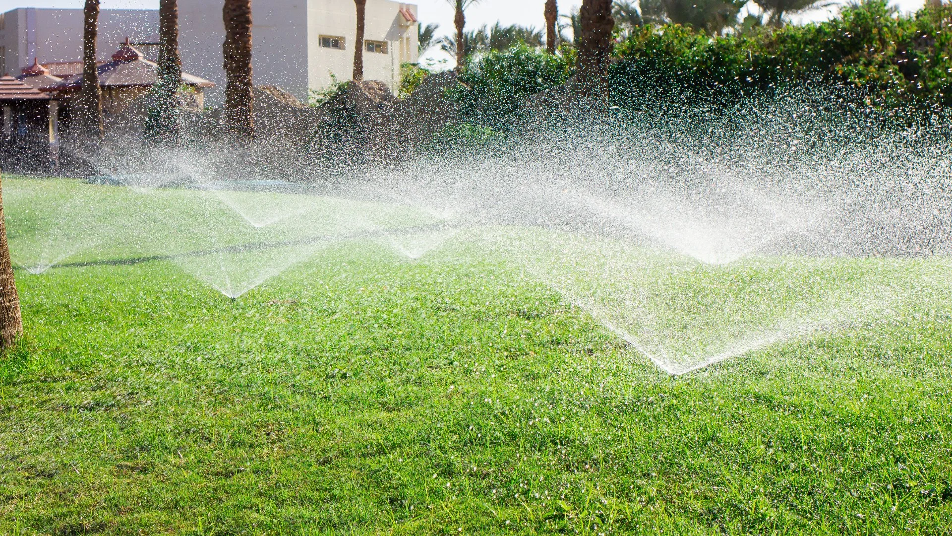 Conserving Water in Texas - How to Optimize Your Irrigation System