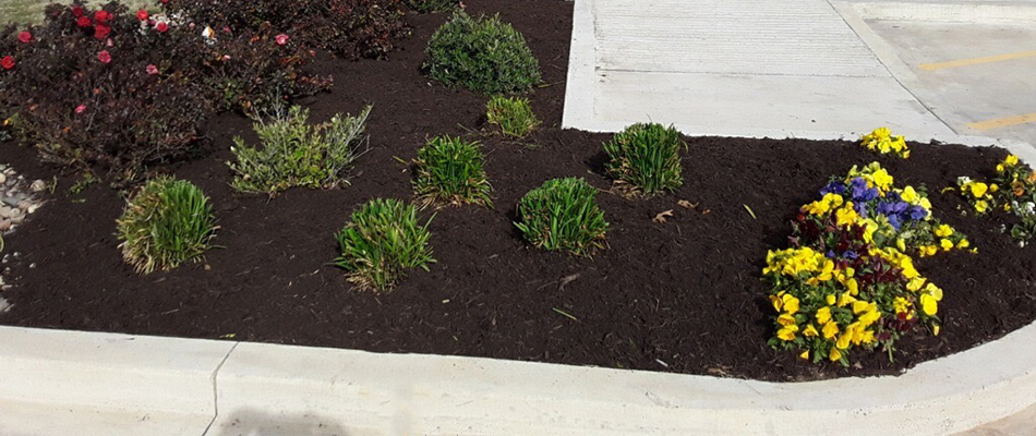 Mulch added to landscape bed by curb in Robinson, TX.