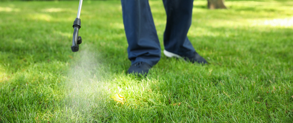 A technician spraying preventative grub control treatment to a lawn in Woodway, TX.