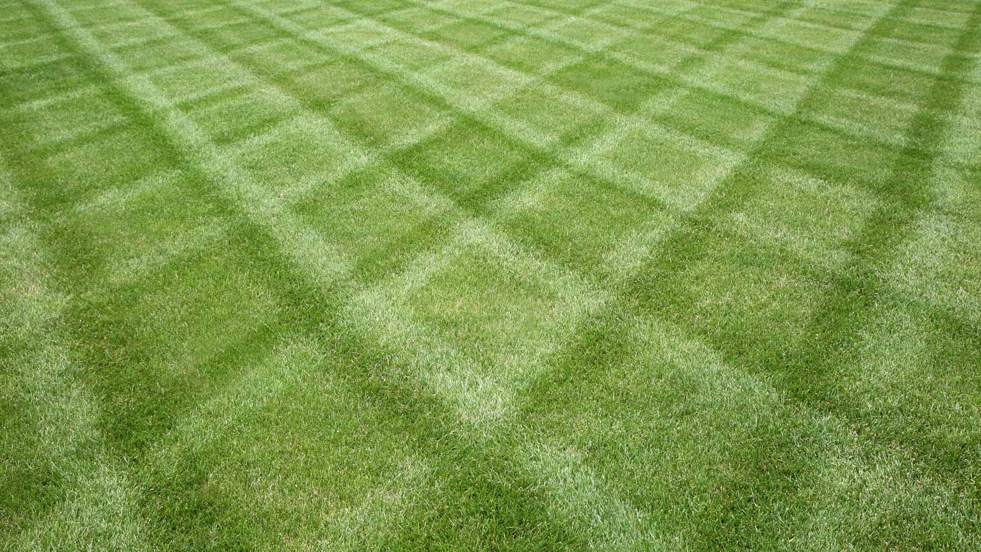 Mowing patterns in a lawn after service in Woodway, TX.
