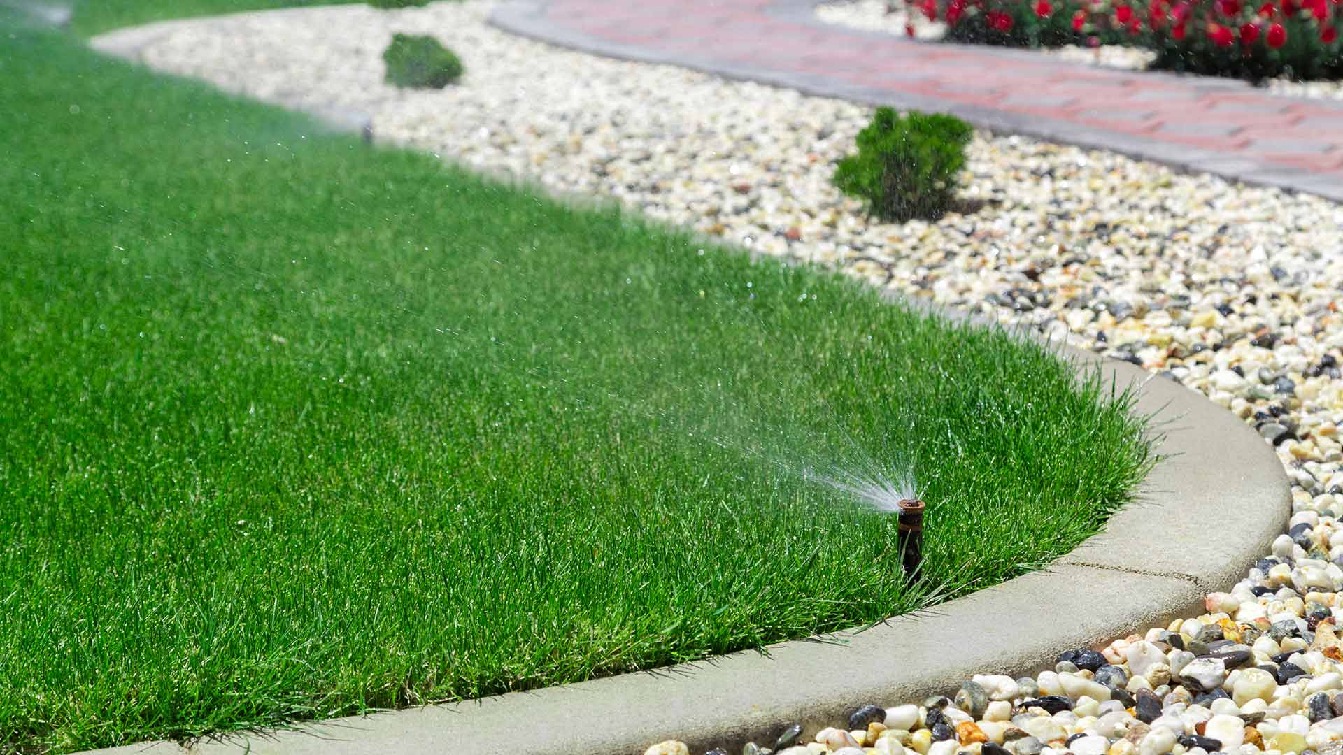 Sprinkler watering lawn around rock mulch landscaping in China Spring, TX.