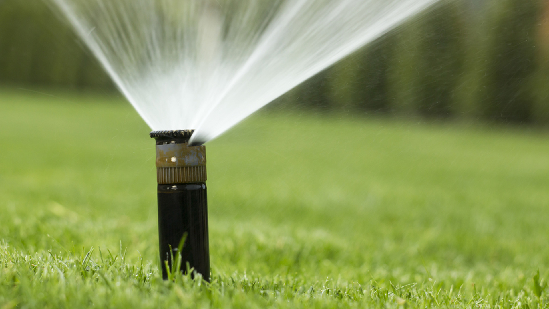 Sprinkler watering a lawn in Waco, TX.
