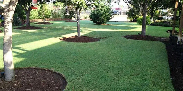 Lawn with perfect trimming and healthy turf grass in China Spring, TX.