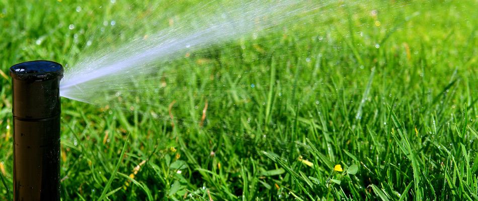 A sprinkler watering a lawn in Waco, TX.