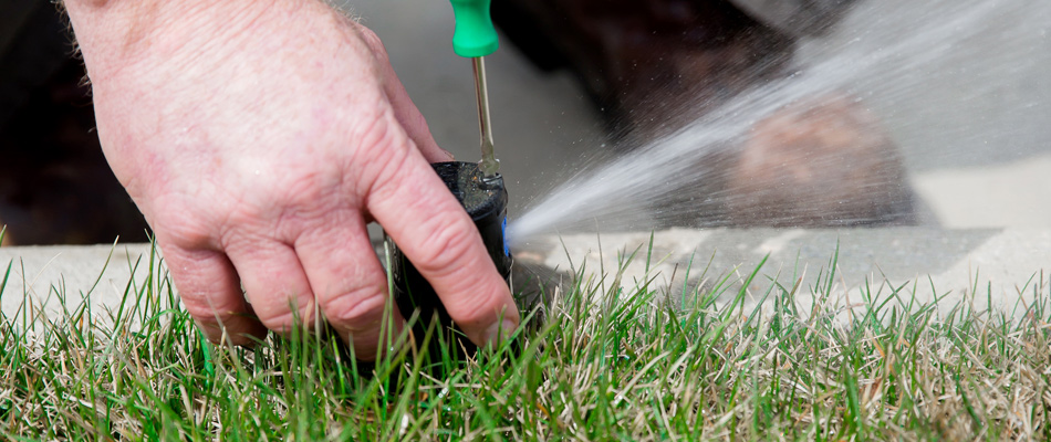 A technician repairing an irrigation sprinkler in a lawn in China Spring, TX.