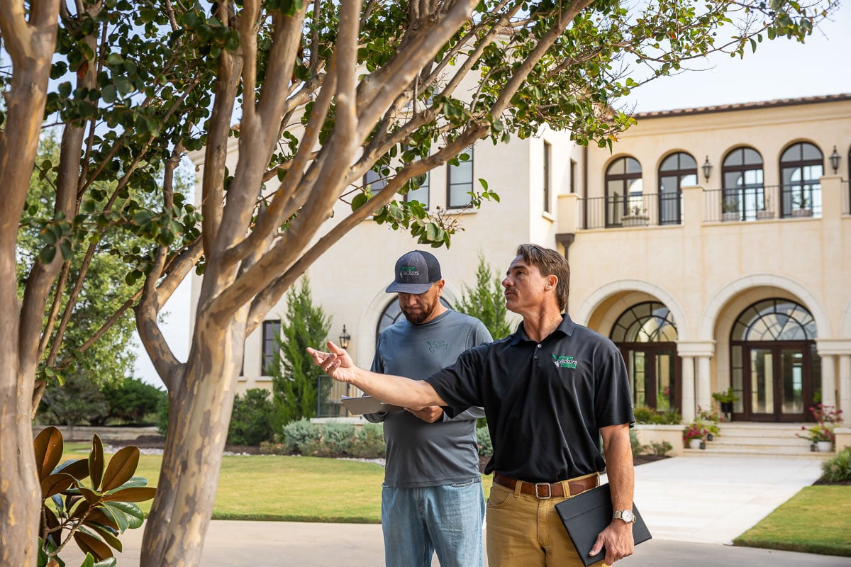 Account manager inspecting residential property with operations manager inspecting tree 2