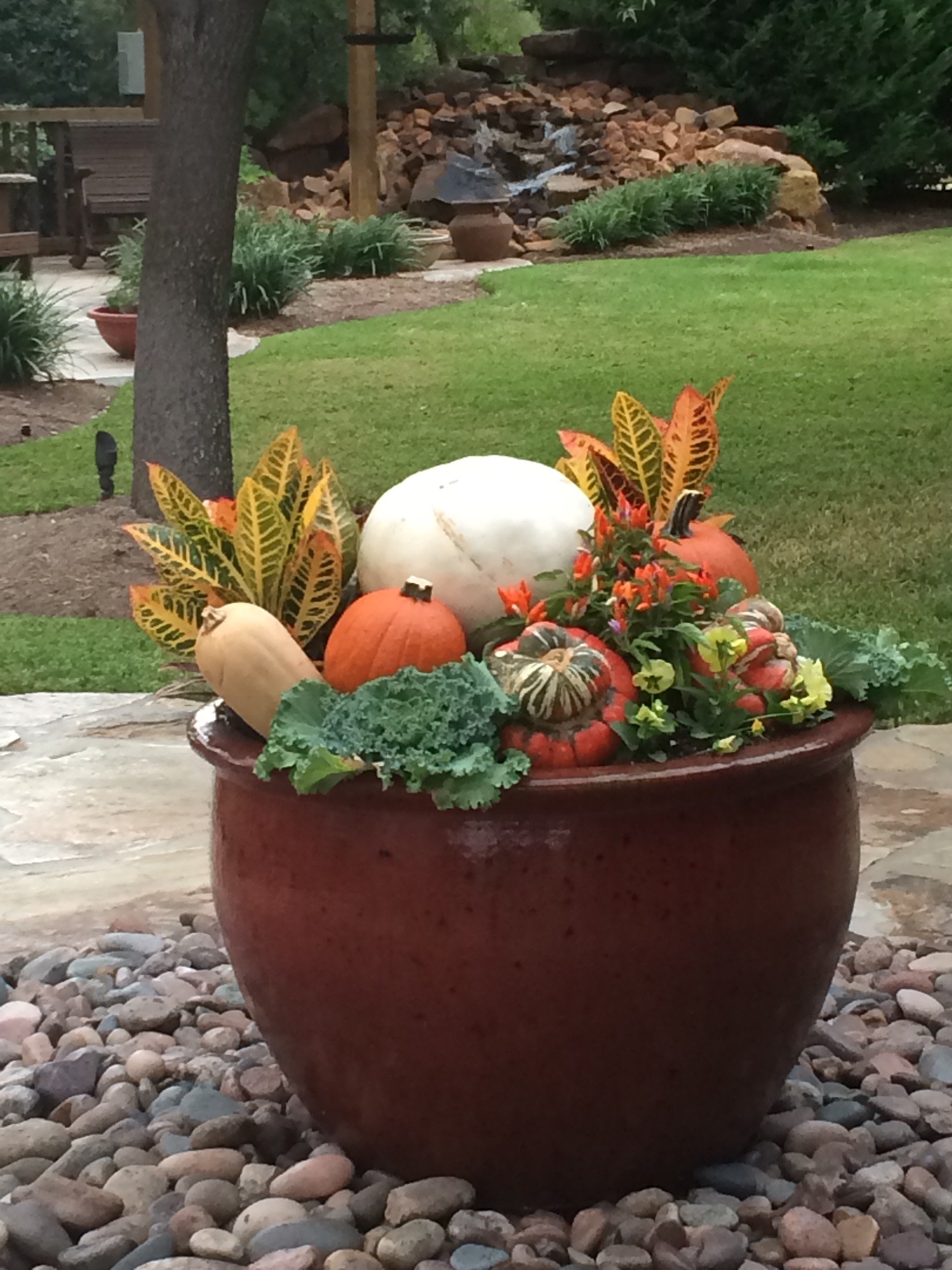 Fall planter garden pumpkins seasonal