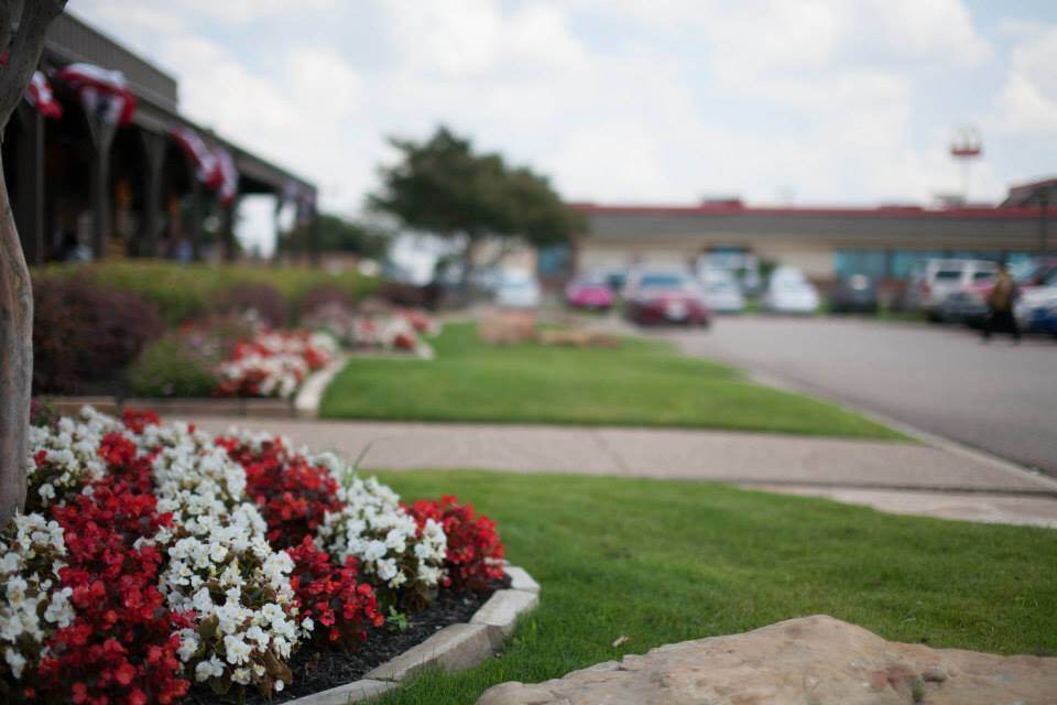 Seasonal annual color commercial