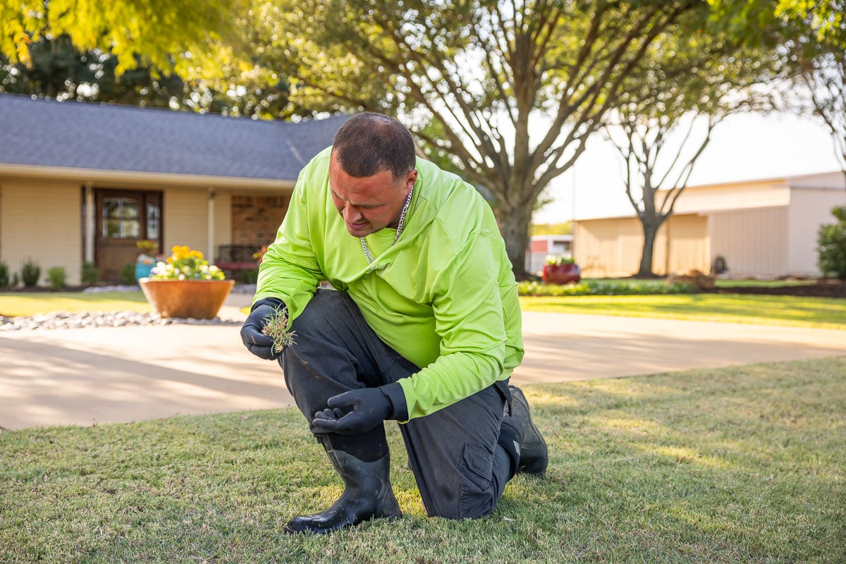 Crew  inspection lawn care treatment spraying green lawn 1