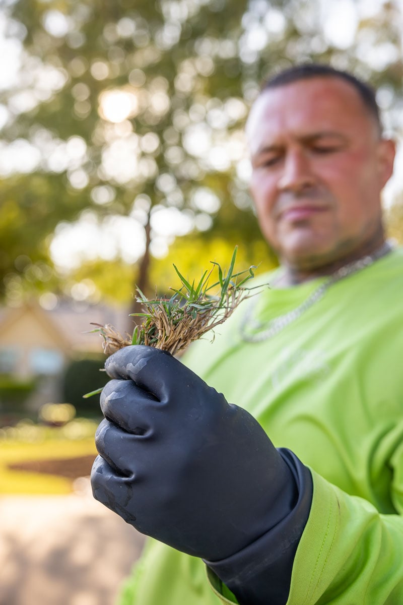 Crew inspection lawn care treatment spraying green lawn-1