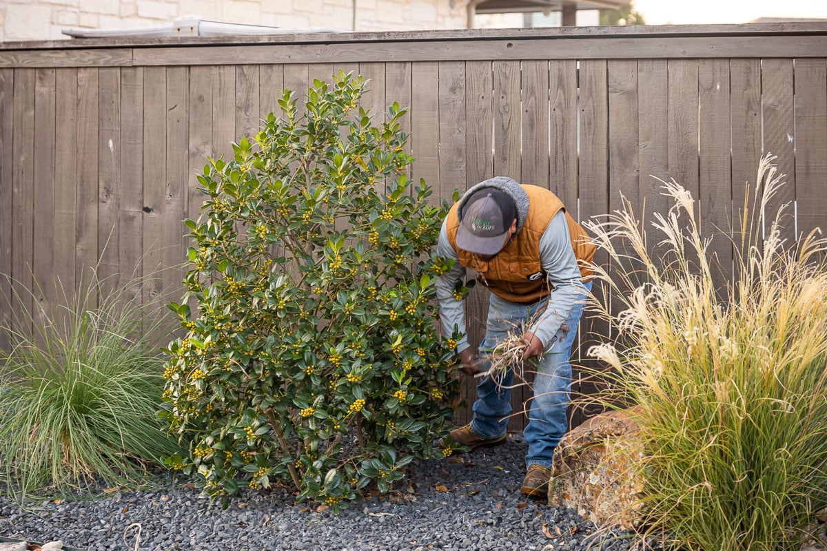 Crew maintenance clean-up landscape beds 