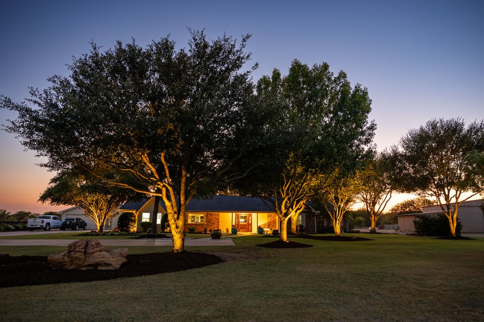 Front yard green lawn landscape tree lighting up lighting