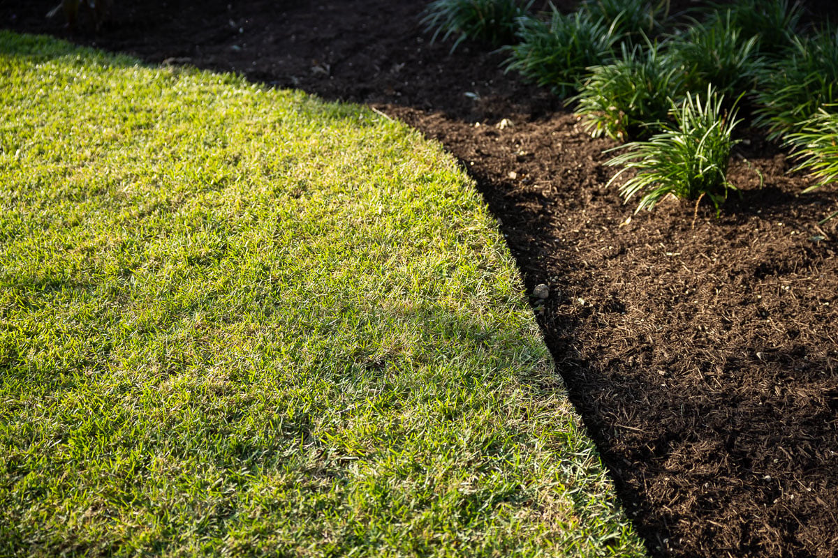 Green lawn lanscape bed 