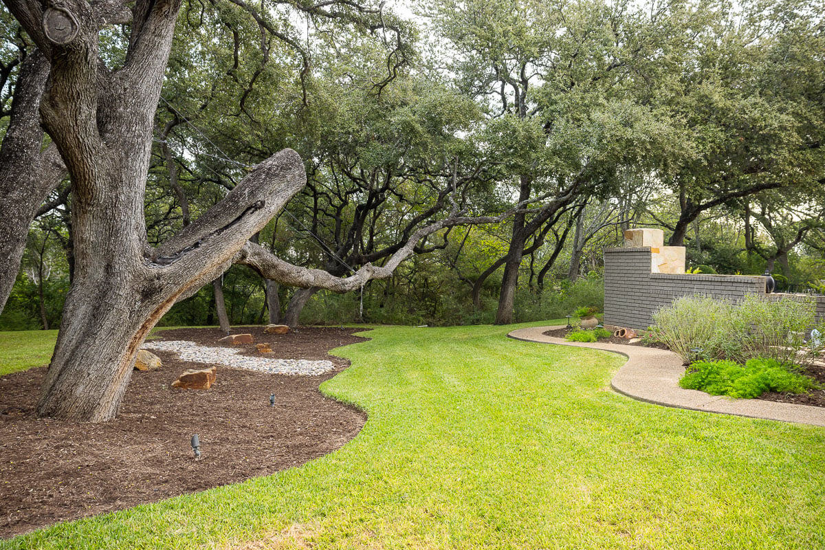 Landscape beds maintenance large tree backyard 