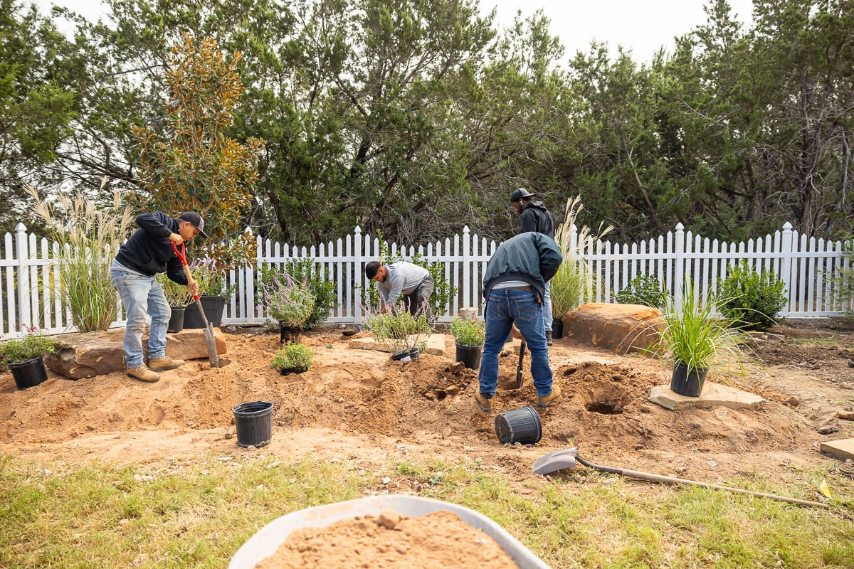Landscape installation shrubs planted along fence crew 9 