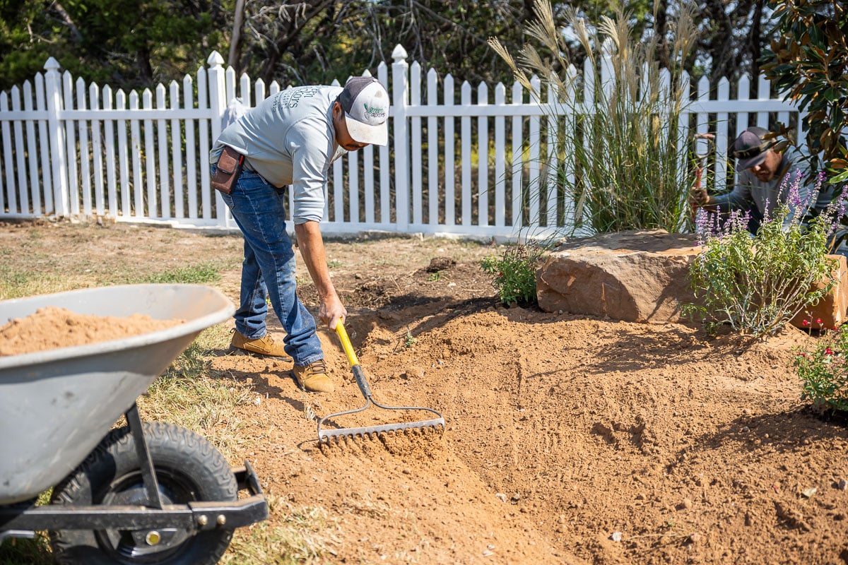 Landscape installation shrubs planted along fence crew spreading dirt 