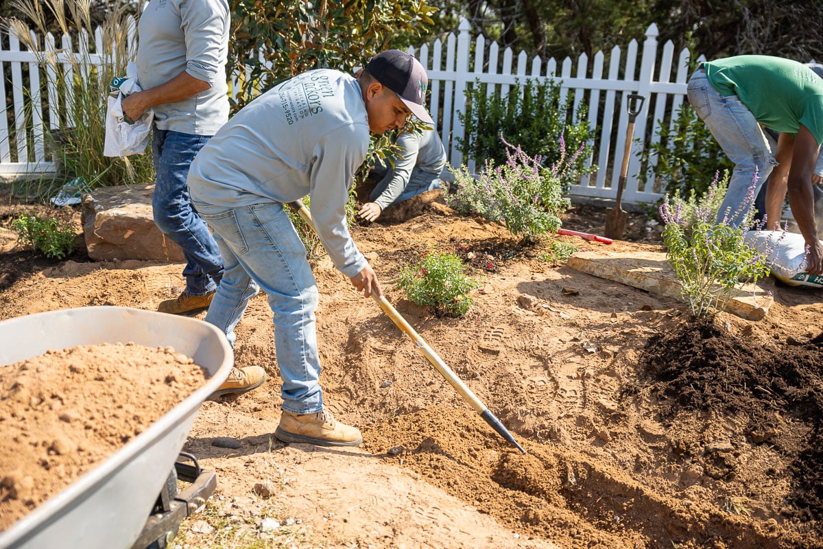 Landscape installation shrubs planted along fence crew spreading mulch