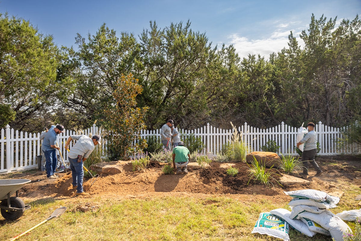 Landscape installation shrubs planted along fence crew spreading mulch 1