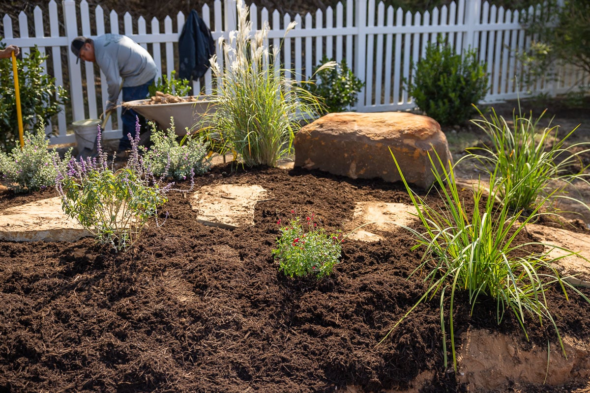 Landscape installation shrubs planted along fence fresh mulch spread crew 