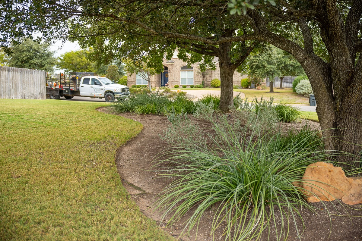 Landscape maintenance landscape beds plants grass