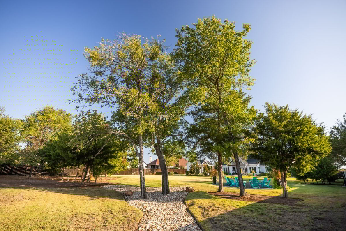 Residential dry creek fire pit landscape trees backyard 
