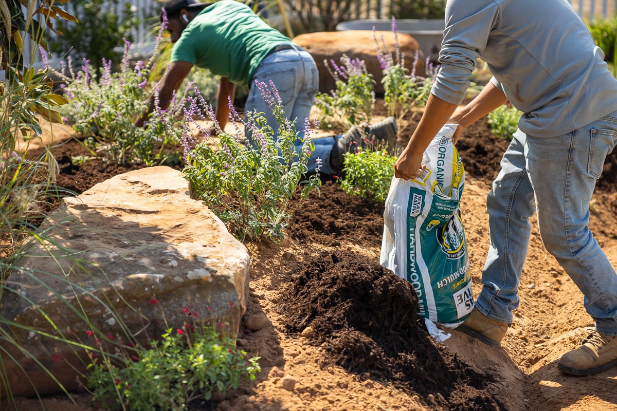 Residential landscape crew spreading fresh mulch flowers garden bed