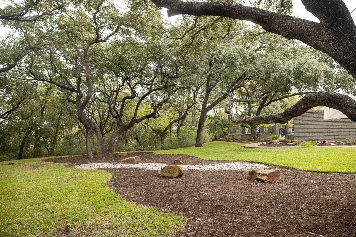 Residential landscape maintenance large trees backyard