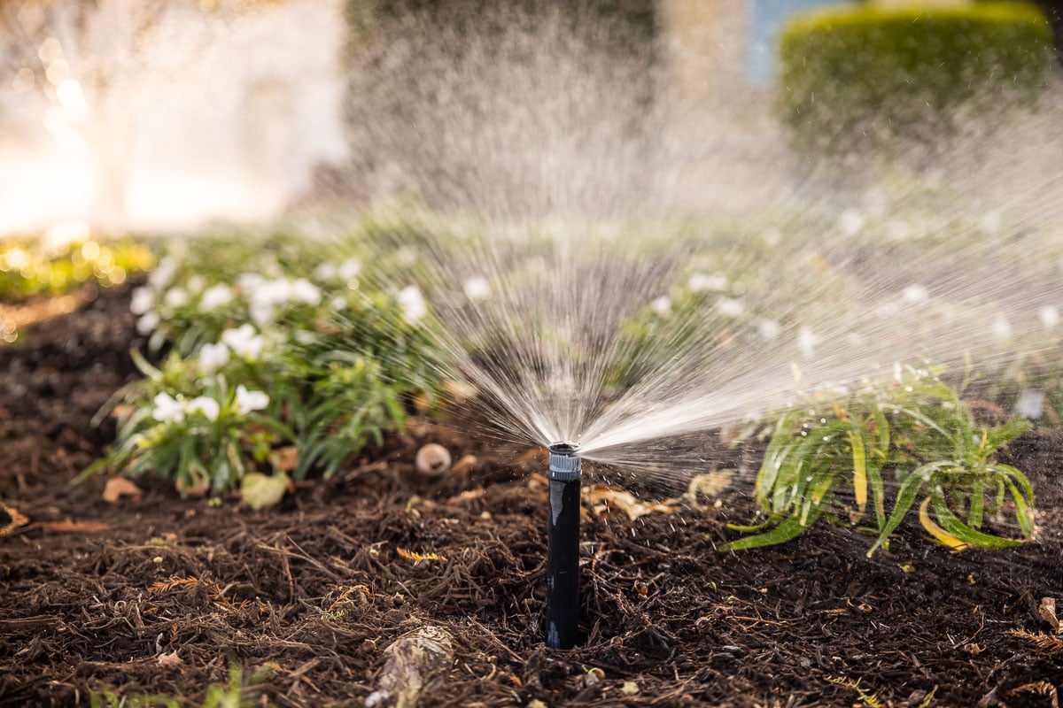 Residential maintenance irrigation sprinklers watering landscape bed 1