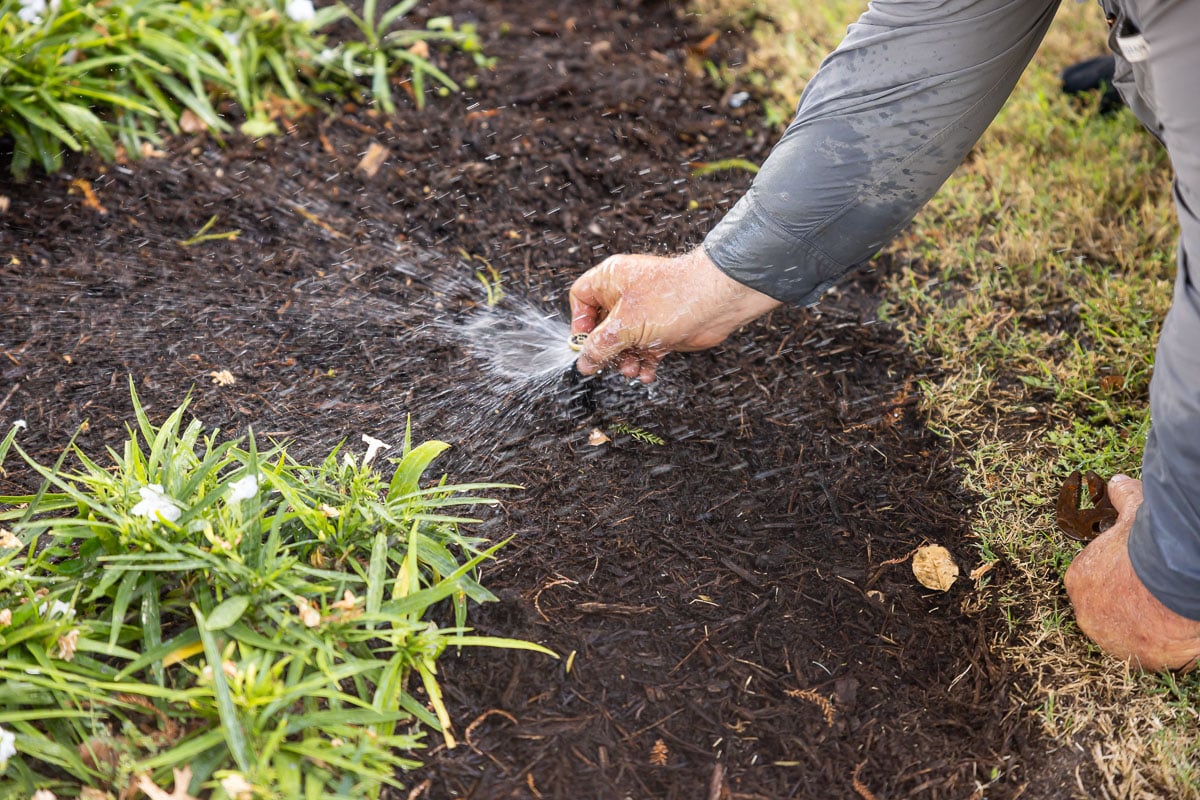 Residential maintenance irrigation sprinklers watering lawn adjusting sprinkler heads