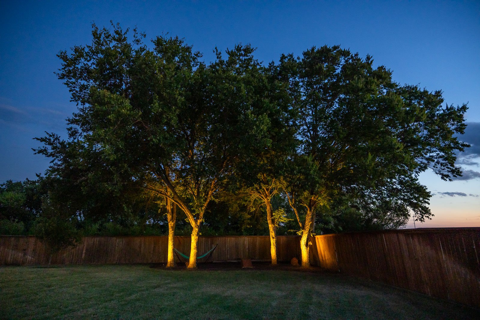 backyard tree uplighting outdoor lighting
