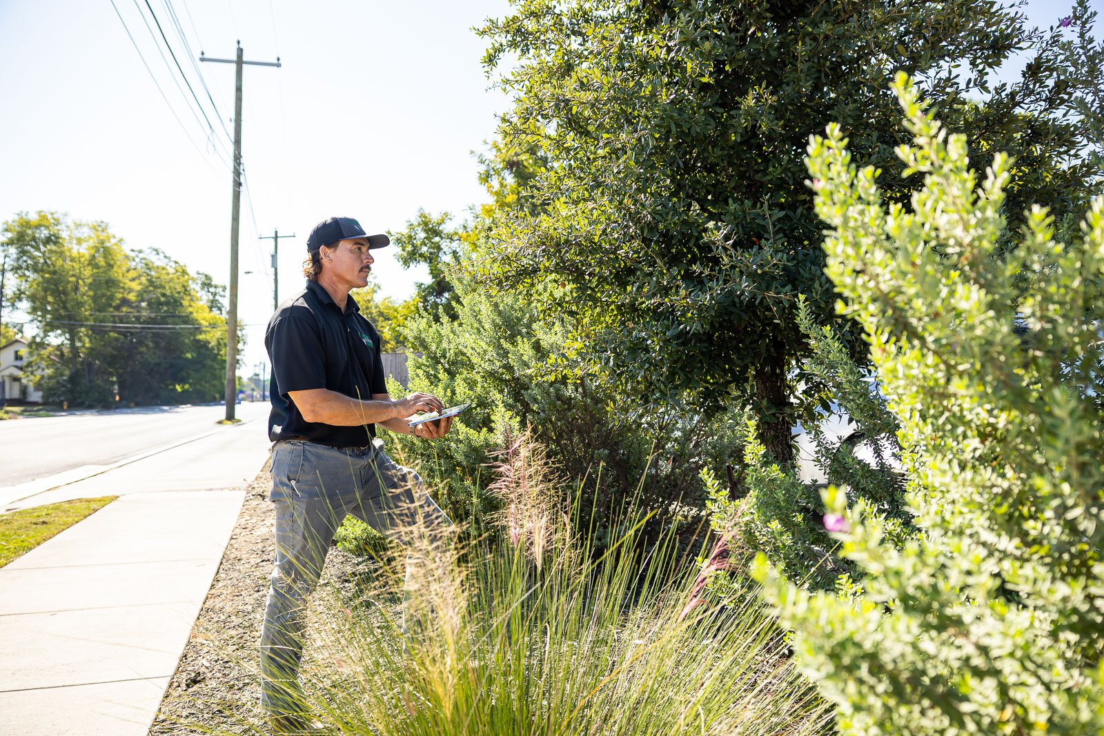 commercial landscape beds maintenance account manager crew inspection 9