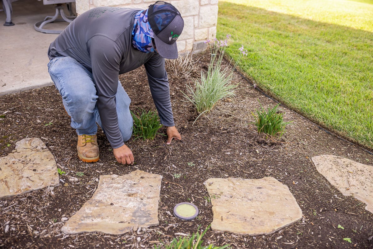 crew pulling weeds landscape beds green lawn 