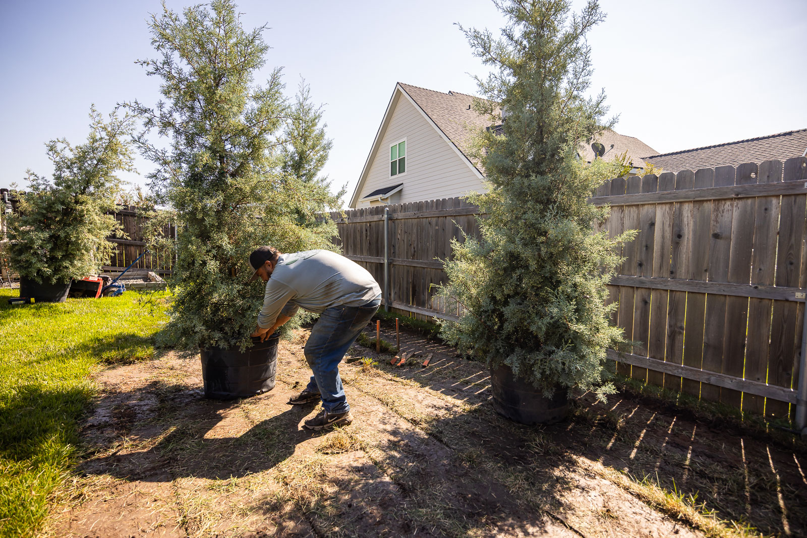 crew sod installation 10