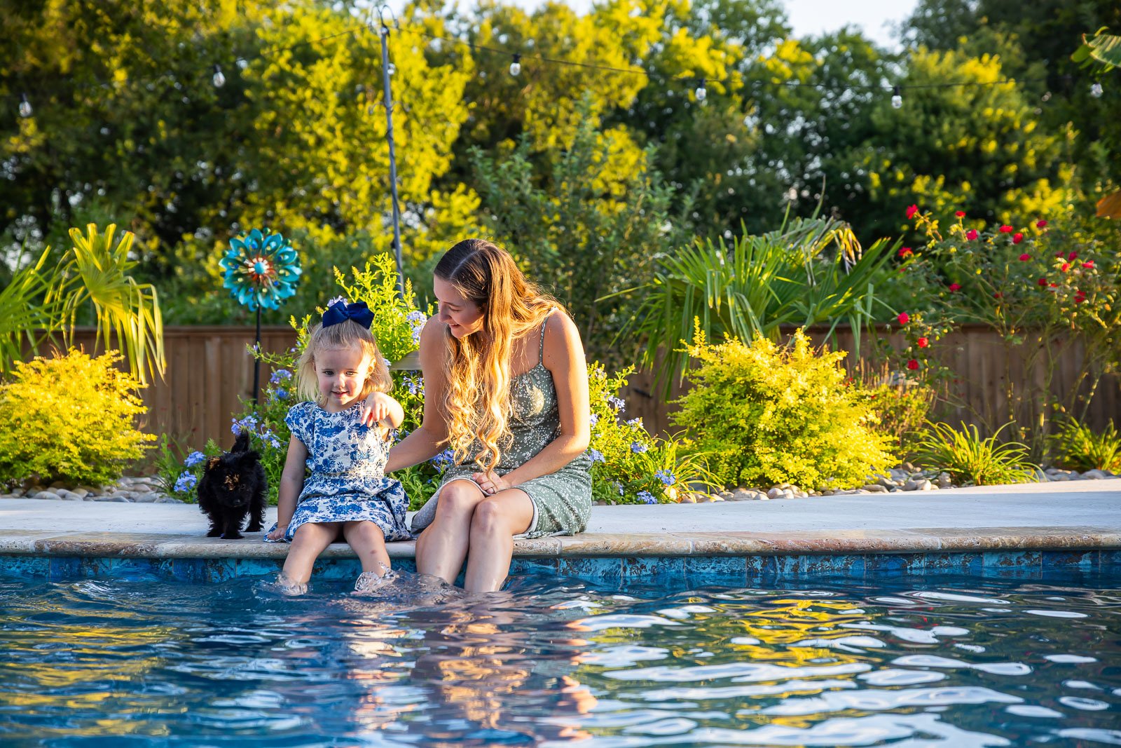 family dog sitting by pool backyard landscaping