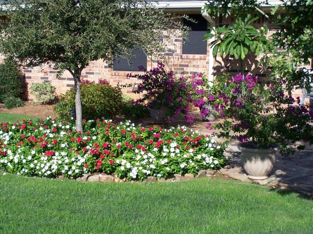flowers bed pot trees grass
