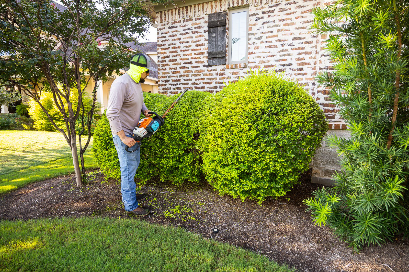 front of house landscaping crew maintenance trimming bushes 4