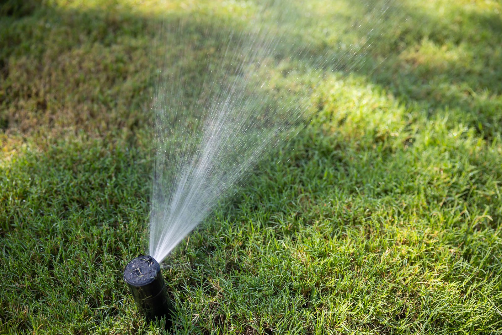 irrigation system watering lawn 3