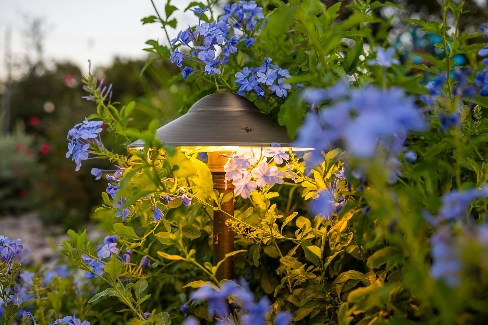 landscape lighting flower beds
