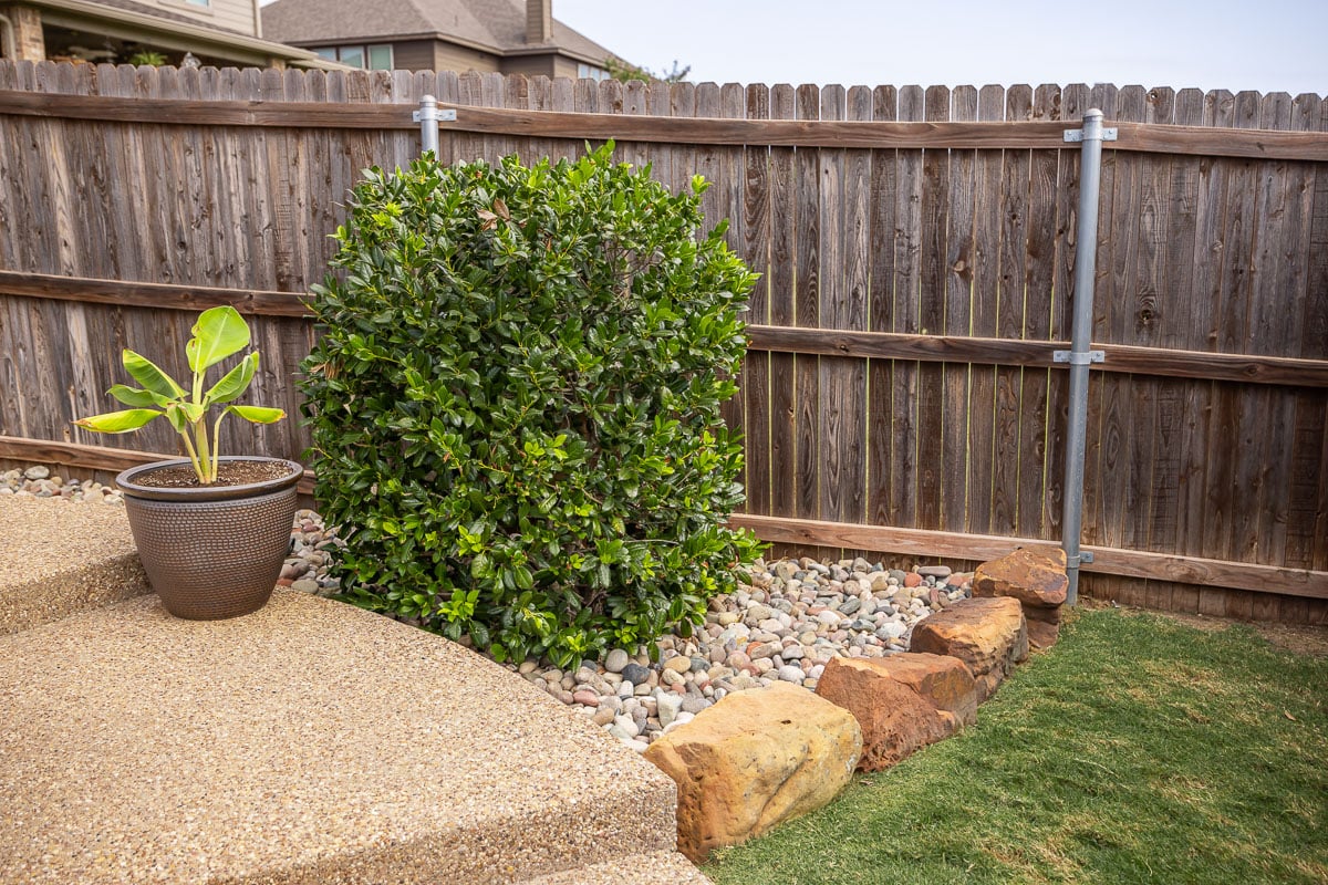 landscape maintenance patio shrub
