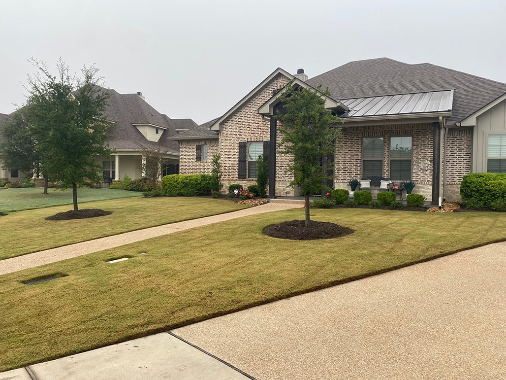lawn care lines grass turf trees mulch rings front entry