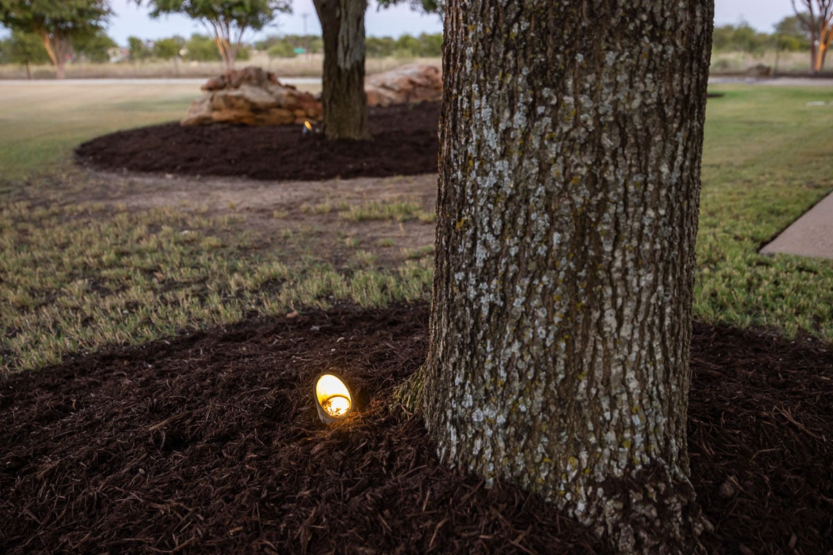 outdoor lighting tree up lighting 