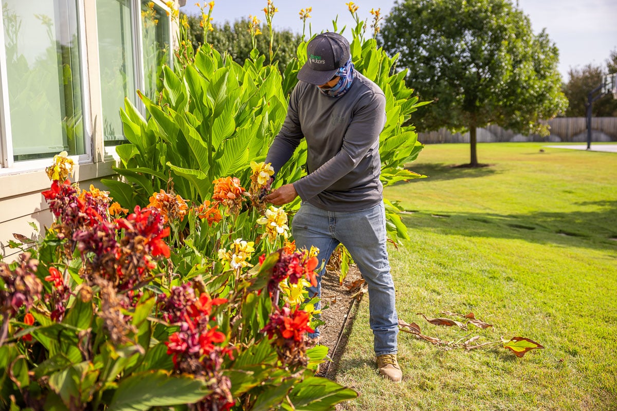 shrub pruning crew cutbacks 