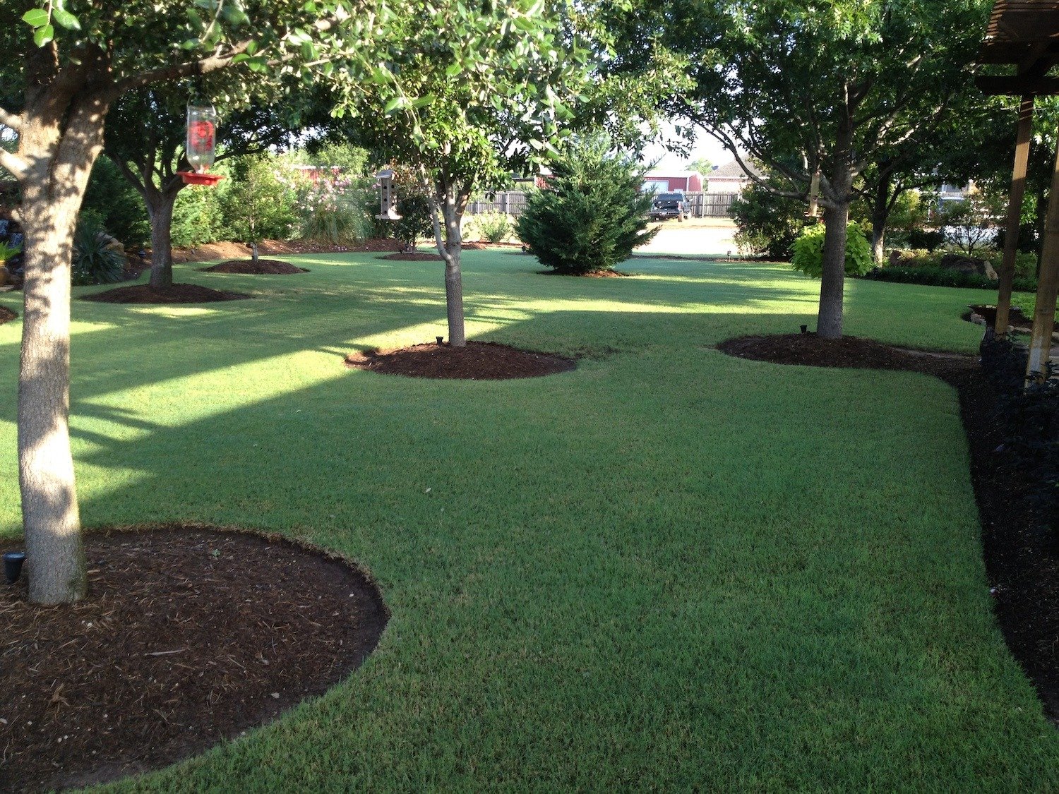 Green lawn trees landscape beds