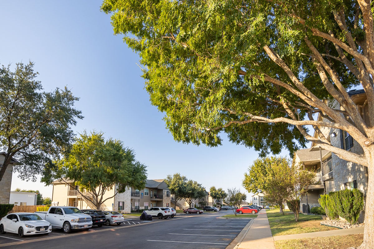 Commercial apartment complex landscape beds trees 14