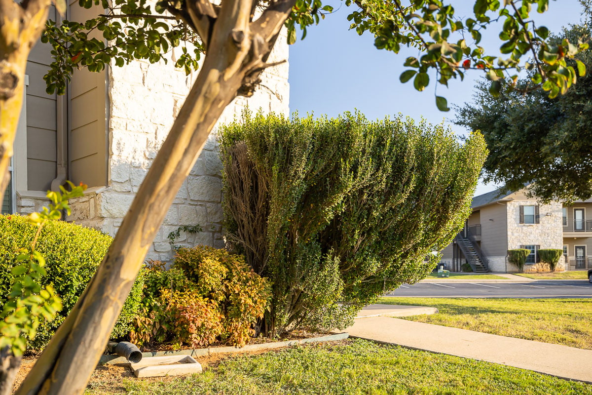 Commercial apartment complex landscape beds trees 17