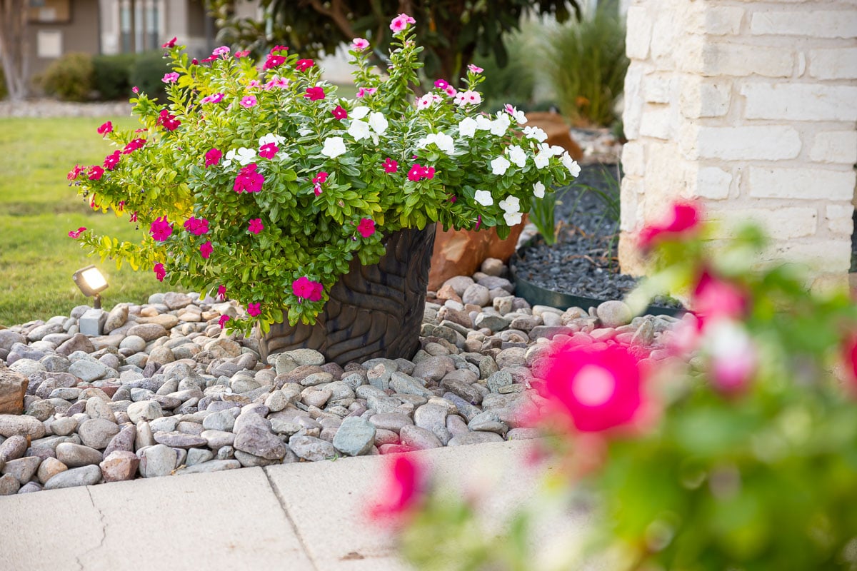 Container garden landscape beds 