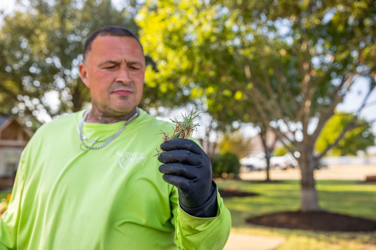 Crew inspection lawn care treatment spraying green lawn 4